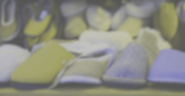 Des pantoufles, vues par un chien