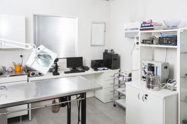 Un cabinet vétérinaire, vu par un humain