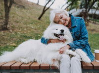 Une femme âgée assise sur un banc serre un Samoyède dans ses bras