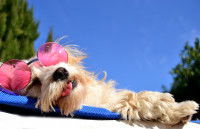 Une protection contre le soleil
