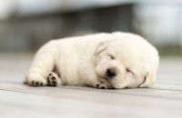 L'influence de l'âge