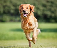 L'importance du sommeil pour la récupération