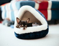 Lui offrir un couchage adéquat