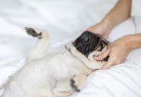 L'aider à se détendre