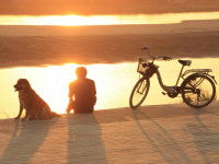 Le chien Capricorne peut sembler distant, mais c'est un hypersensible