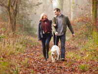 Le chien Capricorne aime les balades en campagne