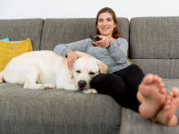 Rien de tel qu'une séance télé pour le chien Poisson !