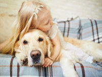 Le chien Poisson apprécie la compagnie des enfants.