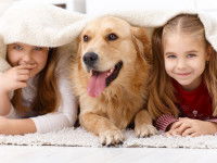 Le chien Verseau aime jouer avec les enfants.