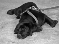 Attention à la fatigue et au surmenage !