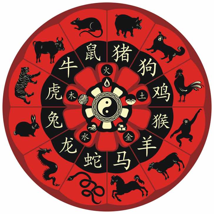 mando privado Abandonado Le chien dans l'astrologie chinoise