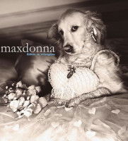 Chien maquillé et habillé qui fait la pose