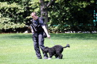 Un agent de sécurité avec Bo, le chien de Barack Obama
