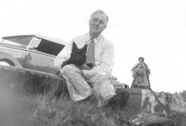 Roosevelt et Fala, sa chienne Scottish Terrier