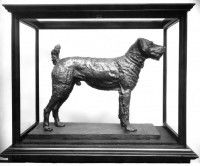 Statue de Laddie Boy, l'Airedale Terrier du president Harding