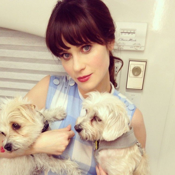 Zooey Deschanel avec ses chiens Dot et Zelda