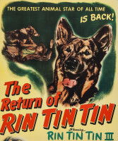 L'affiche du film &laquo; The Return of Rin Tin Tin &raquo; (1947), avec Rintintin III