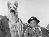 Une sc&egrave;ne de la s&eacute;rie t&eacute;l&eacute;vis&eacute;e &laquo; Rintintin &raquo;, avec le chien et Rusty (incarn&eacute; par Lee Aaker)
