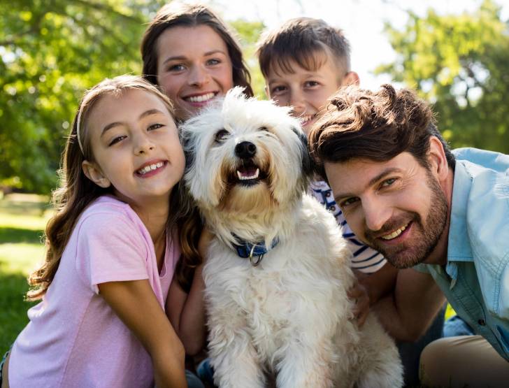Qui Est Le Maitre Du Chien Dans Un Couple Montrer à son chien qui est le maître et l'intégrer dans la famille