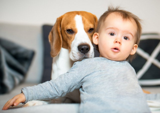 10 bonnes raisons d'adopter un chien quand on a un enfant