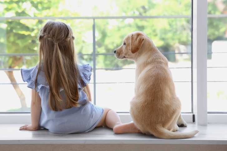 25 Races De Chien Qui Aiment Les Enfants