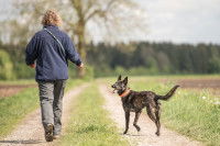 Une femme et son chien font une promenade dans la nature