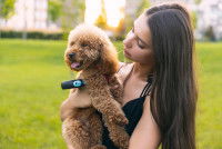 Affirmer la hiérarchie dans la famille