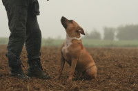 Un maître stable et constant