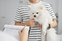 Un homme prend des notes en écoutant un maître et son chien