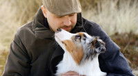 Les signes montrant qu'un chien va mordre