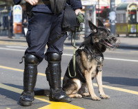 Un chien policier avec une muselière à côté de son maître
