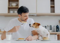 Ne pas manger devant son chien