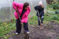 Des femmes creusent le sol avec des pelles
