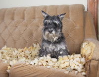 Les destructions causées par le manque d'activité