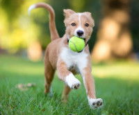 Jouer davantage avec lui