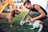 Une femme tente de ramasser les crottes de ses deux chiens