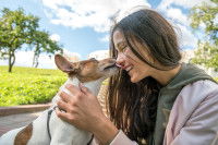Un petit chien lèche le nez d'une femme