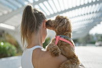 Un petit chien lèche l'oreille de sa maîtresse dans un parc