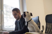Calmer son chien en restant indifférent