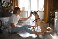 Encourager le chien lorsqu’il se tient tranquille