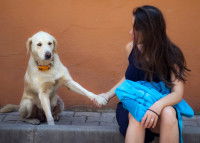 Une femme tient la patte de son chien pour le rassurer