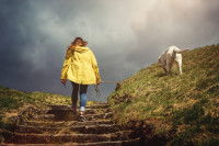 Comment éviter que le chien ait peur quand un orage arrive ?