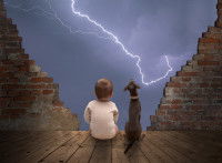 Familiariser son chien aux éclairs de la foudre