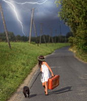 L’orage, un phénomène naturel source d’angoisse chez le chien