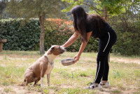 Une femme donne à manger à son chien dans le jardin