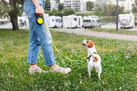 Une femme avec un Jack Russell en laisse à ses pieds