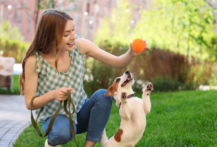 Une femme joue avec son Jack Russell à la balle dans un parc
