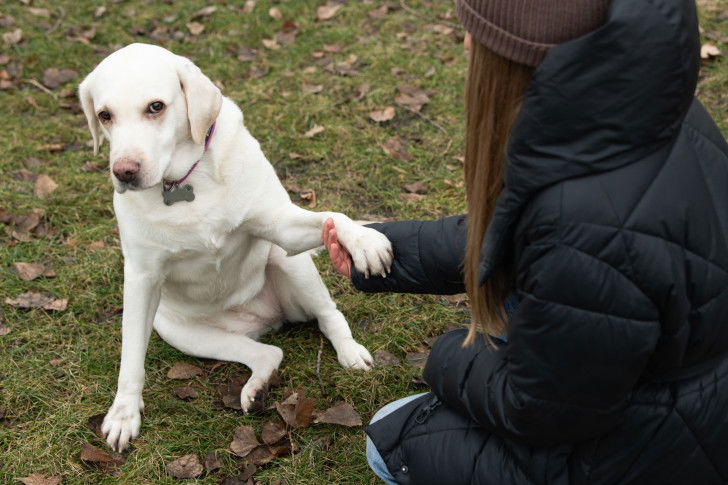Une femme tient la patte de son chien dans un parc