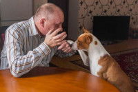 Comment parler à son chien ?