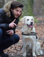 La perception du langage non verbal de l'Homme par le chien